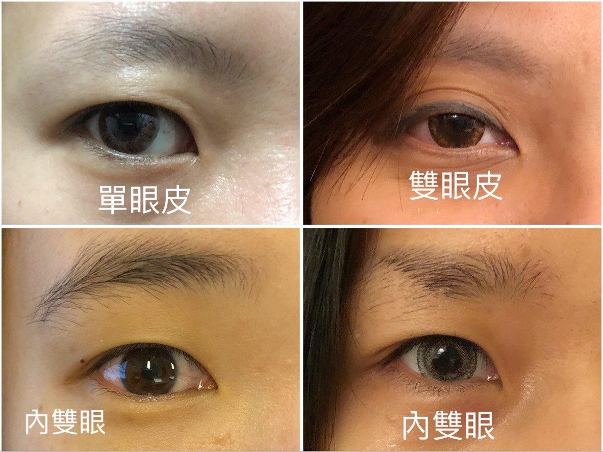 常見的眼型：內雙眼／單眼皮／雙眼皮